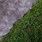 18" x 16" Green Natural Preserved Moss Sheet Party Wedding Crafts Decorations